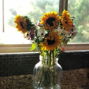 Meet your Posher, Carol